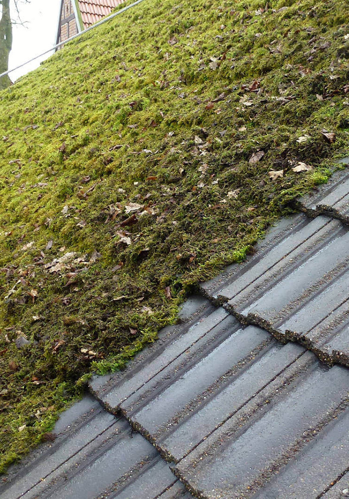 Demoussage et nettoyage de toiture à Gagny (93220) en Seine-Saint-Denis (93). Demoussage et nettoyage de toiture à Gagny (93220) en Seine-Saint-Denis (93).
